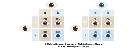 Recessive Definition Pathophysiology