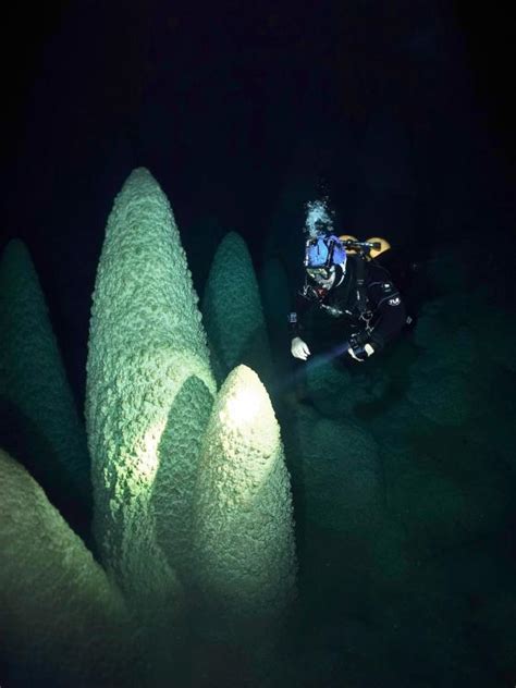 Bonito Caves: Cave Diving in Brazil | X-Ray Mag