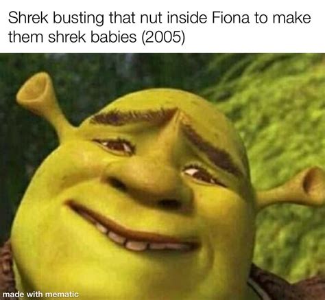 Happy birthday shrek babies can’t believe you are already 15 time flies. : dankmemes