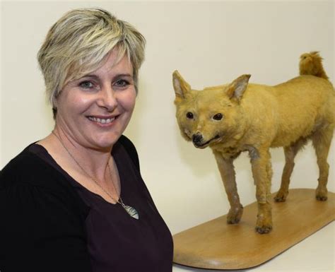 Study on where Pacific's first dogs came from | Otago Daily Times Online News