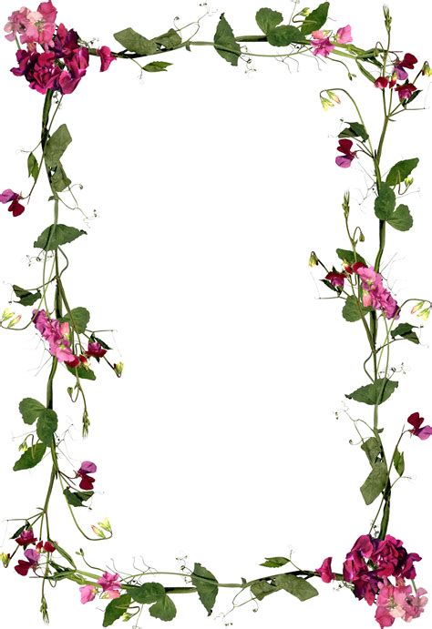 Floral frame PNG