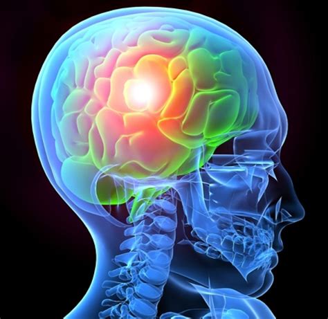 Traumatic Brain Injury Basics | BrainLine