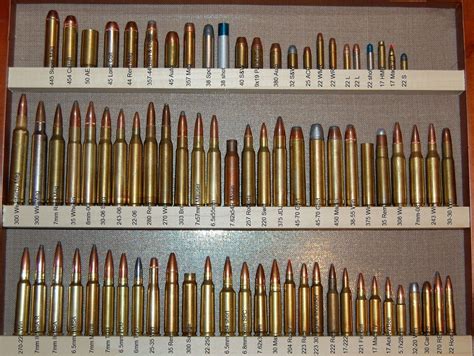 Ammo and Gun Collector: Some Nice Ammo Collections Pictures | Guns ...