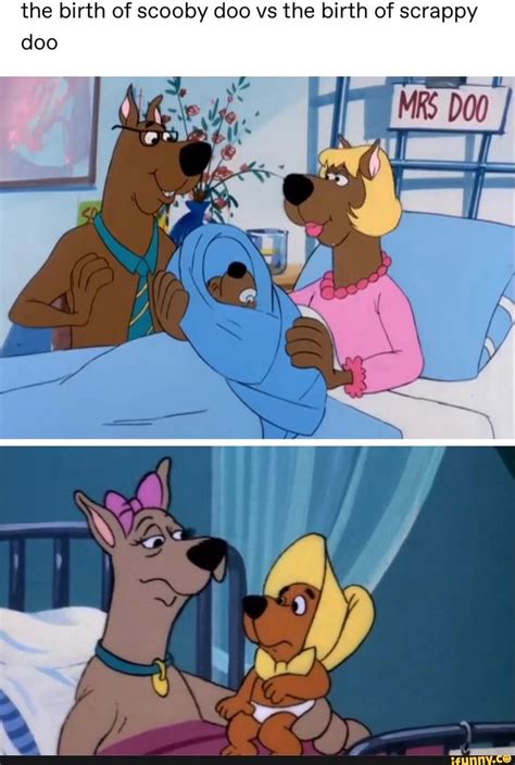 The birth of scooby doo vs the birth of scrappy - iFunny | Scooby doo memes, Scooby, Scooby doo