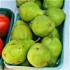 Pears | Pears at the La Grande Farmers' Market | Market Manager | Flickr