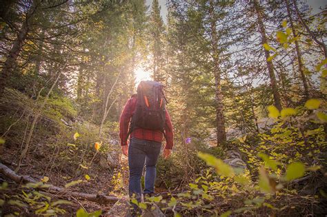 Solo Hiking: 6 Tips to Stay Safe on the Trail