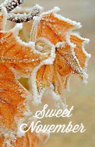 Sweet November Pictures, Photos, and Images for Facebook, Tumblr, Pinterest, and Twitter