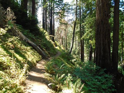 Best Hikes in Los Padres National Forest (CA) - Trailhead Traveler