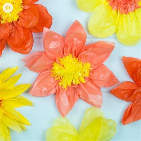 Tissue Paper Flowers | This Wallpapers