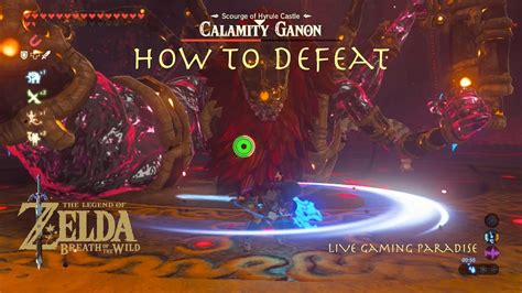 Breath of the Wild - Calamity Ganon Boss Fight Guide - YouTube