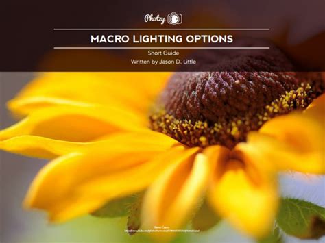 FREE Guide – Macro Lighting Options - Photzy