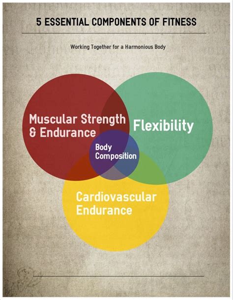 5 Essential Components of Fitness - Fitness Proaction