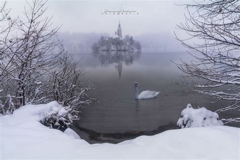 Bled, Winter Wonderland, Slovenia