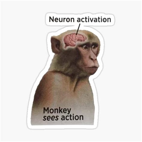 "Monkey Neuron Activation" Sticker for Sale by FandomBank | Redbubble