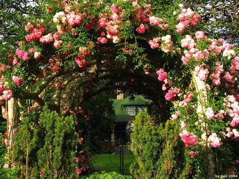 Rose Garden Wallpaper (51+ pictures)