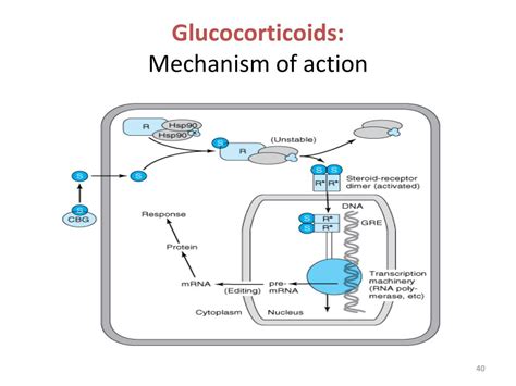 PPT - Pain, Inflammation, NSAIDs and Analgesics PowerPoint Presentation - ID:3126735