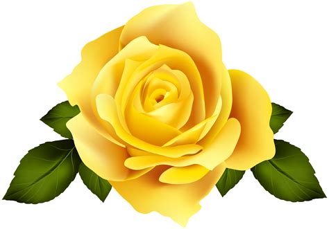 yellow rose flower clipart 10 free Cliparts | Download images on ...