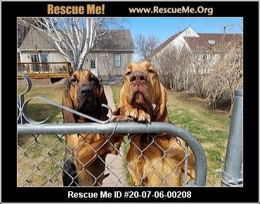 - Nebraska Dog Rescue - ADOPTIONS - Rescue Me!