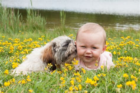 Dad’s Favorite Baby Name is Taken … by the Dog! | Nameberry