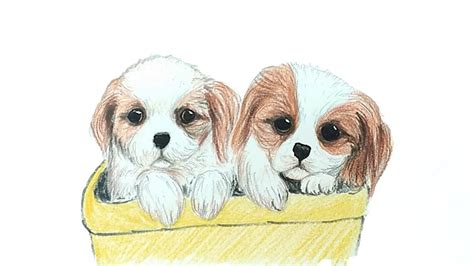 Realistic Easy Cute Dog Drawings