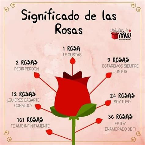 a red rose labeled in spanish on a pink background with the words'significo de las roses