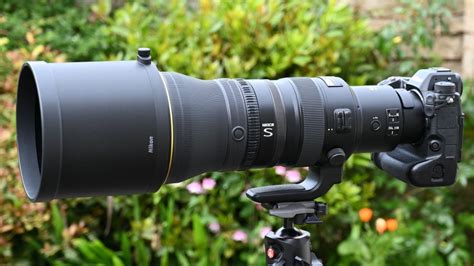 The best Nikon telephoto lenses in 2024 | Digital Camera World