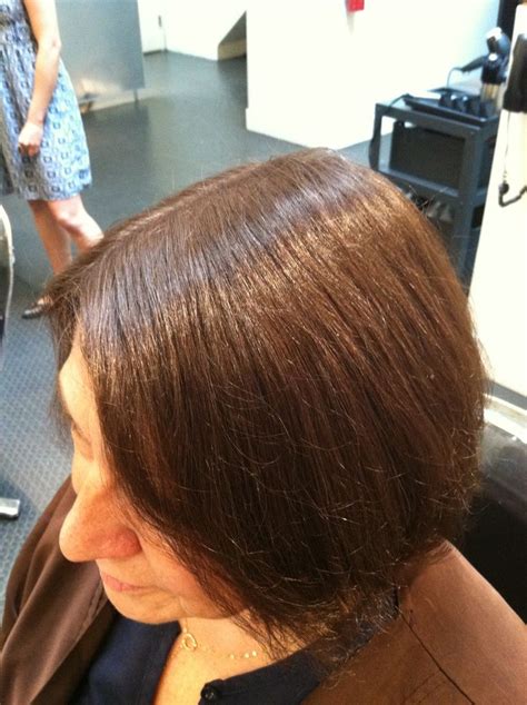 Soft, warm and natural single process brunette. | Redken hair color, Single process color ...