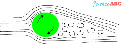 Why Is There Fuzz On A Tennis Ball? » ScienceABC