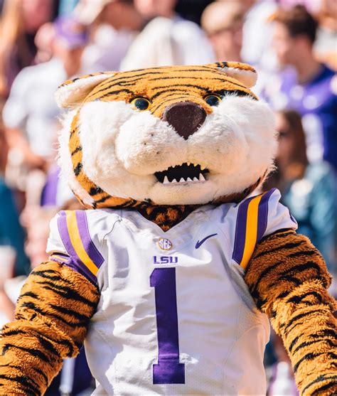 LSU Mascot: The History Behind Mike the Tiger? - EducationWeb