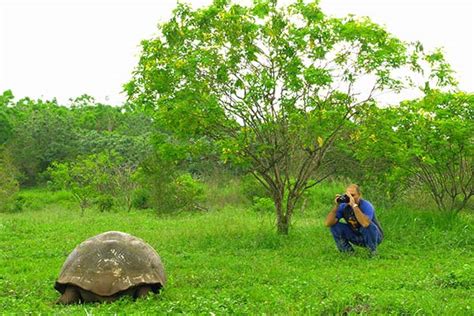 Galapagos Vegetation Zones | Plant-life per zones and islands