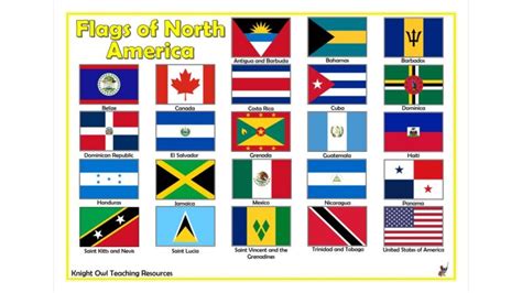 Flags of North America Poster