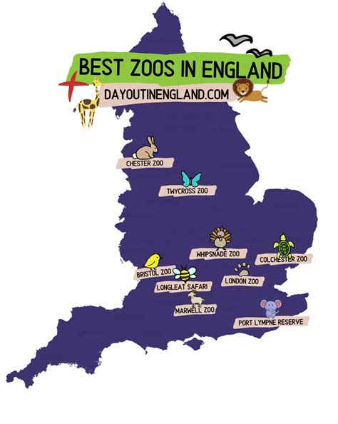 18 Best Zoos in England for a Day Out in 2023 | Day Out in England