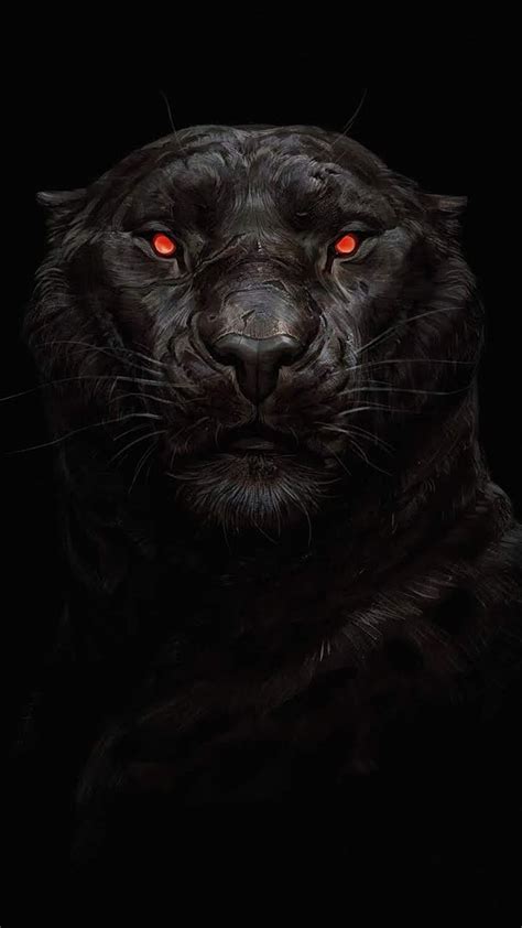 720P free download | Black Tiger Theme With Red Eyes, black tiger, theme, red eyes, HD phone ...