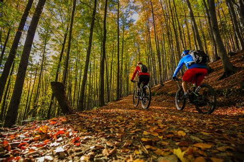 Killington Mountain Bike Park