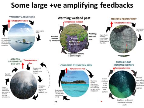 Earth Overview Blog Series Part 3 – How Earth’s Feedback Loops Are ...