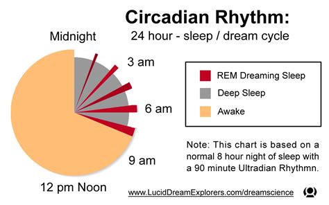 Dreaming and the Sleep Cycle « You Can Lucid Dream