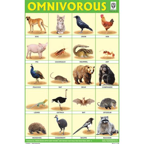 OMNIVOROUS ANIMALS CHART SIZE 12X18 (INCHS) 300GSM ARTCARD