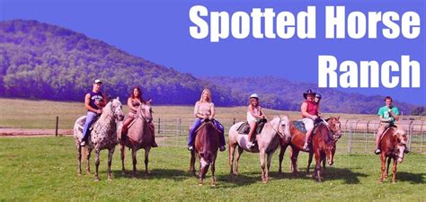 Visit the Spotted Horse Ranch | Buffalo Cabins and Lodges