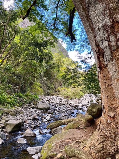 Iao Valley State Park – One of the Best Experiences On Maui