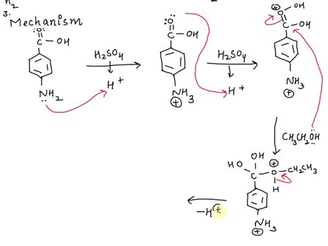 SOLVED: What are the side reactions in the preperation of benzocaine ...