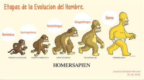 Etapas de la Evolución Humana by Lancelot Sampieri Moreno on Prezi