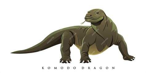 Premium Vector | Komodo dragon vector illustration tour and travel graphic design for banners ...