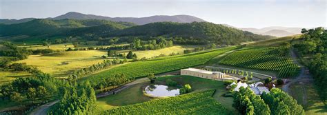 Yarra valley wineries | Greataussietravel.com.au