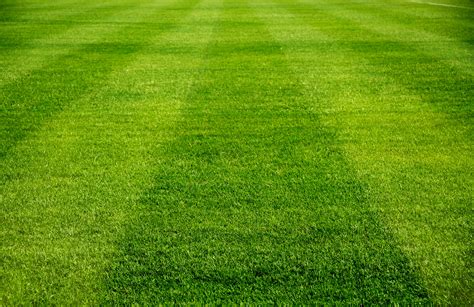 Football Field Grass - Bing images