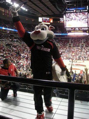 Portland Trail Blazers mascot, Blaze the Trail Cat. | Portland trailblazers, Trail blazers, Mascot