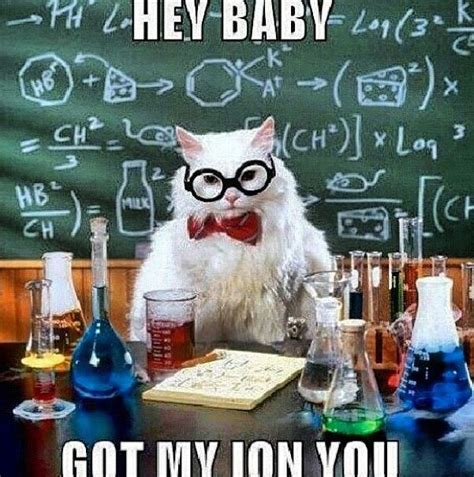 Chemistry cat!! | Chemistry puns, Chemistry cat, Chemistry jokes