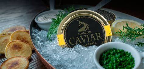 RUSSIAN STURGEON CAVIAR CLASSIC (Russian Osetra) | Best Black Caviar