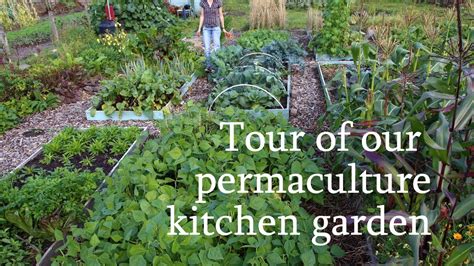 Vegetable Garden Permaculture | Home Designs Inspiration