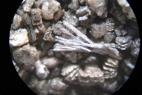 Asbestos through the Microscope | RH Services Inc.