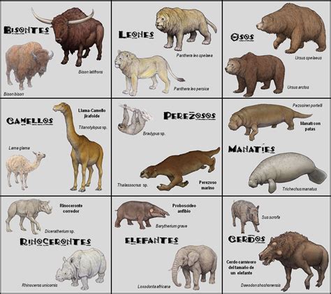 Palaeos, la historia de la Vida en la Tierra: ¿Invalidando la teoría de ...